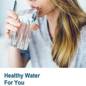 Refrigerator Water Filter 9690 Compatible – 2 Pack Premium Carbon Filters